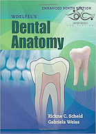 Woelfels Dental Anatomy Ninth Edition 2017 | آناتومی دندادن وولفل
