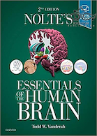 Nolte’s Essentials of the Human Brain 2nd Edition2018 مغز انسان