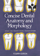 Concise Dental Anatomy and Morphology