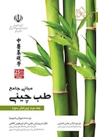 مبانی جامع طب چینی جلد دوم