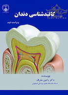 کالبدشناسی دندان