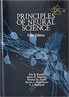 Principles of Neural Science