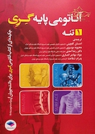 آناتومی پایه گری (تنه)