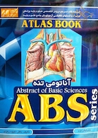 ABS آناتومی تنه