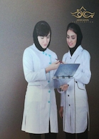 روپوش دیپلمات