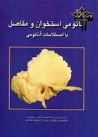 آناتومی استخوان و مفاصل