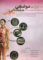 آناتومی موضعی مقطعی بالینی