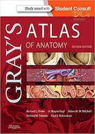 Gray's atlas of anatomy | اطلس آناتومی گری