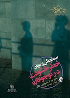 سنجش و مهار خطر خشونت در نوجوانان