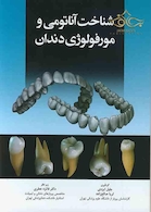 شناخت آناتومی و مورفولوژی دندان