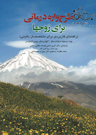 طرح  واره درمانی برای زوج  ها