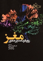 مغز، رویکرد مسیر محور