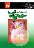 آسیب شناسی حجاب