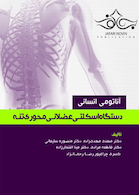 آناتومی انسانی دستگاه اسکلتی عضلانی محوری تنه