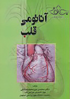 آناتومی قلب