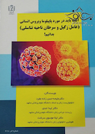 آنچه باید در مورد پاپیلوما ویروس انسانی (عامل زگیل و سرطان ناحیه تناسلی) بدانیم!