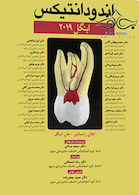 اندودانتیکس اینگل 2019 جلد 2