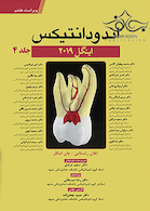 اندودانتیکس اینگل 2019 جلد 4