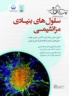 سلول های بنیادی مزانشیمی