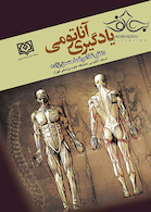 یادگیری آناتومی