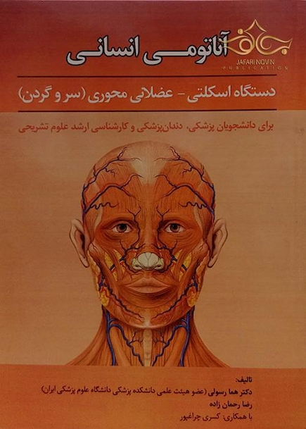 آناتومی انسانی دستگاه اسکلتی - عضلانی محوری (سر و گردن)