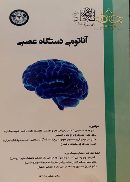 آناتومی دستگاه عصبی