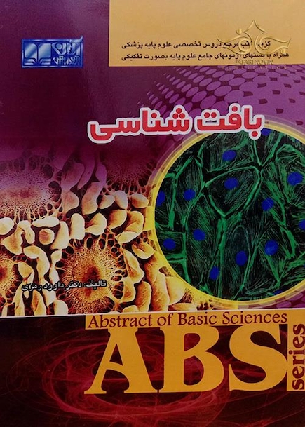 ABS بافت شناسی