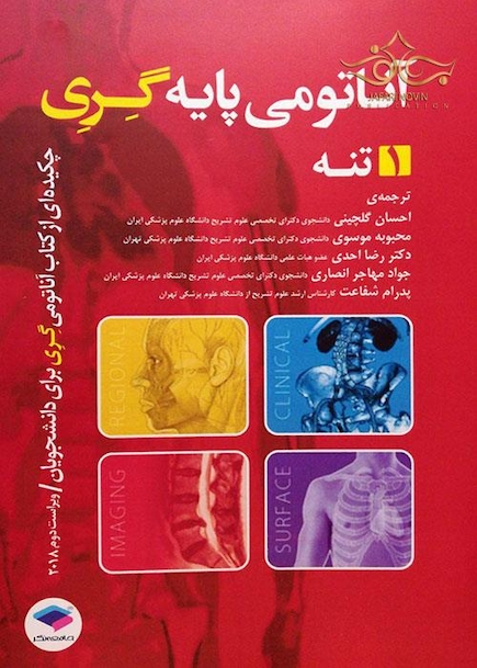آناتومی پایه گری (تنه)