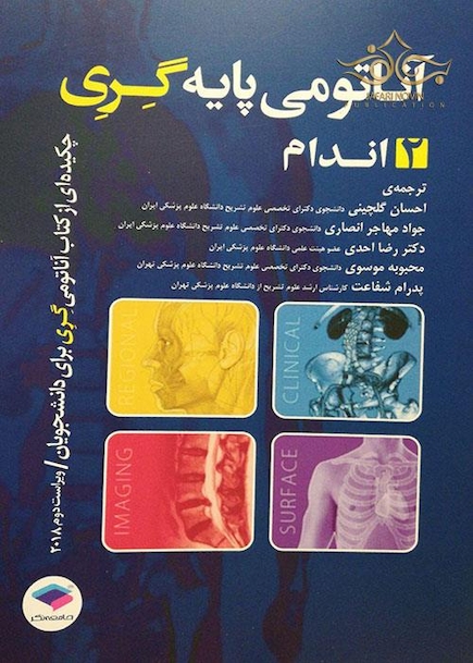 آناتومی پایه گری (اندام)