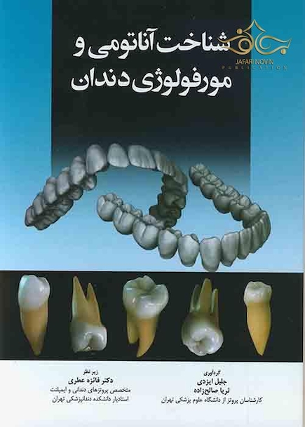 شناخت آناتومی و مورفولوژی دندان