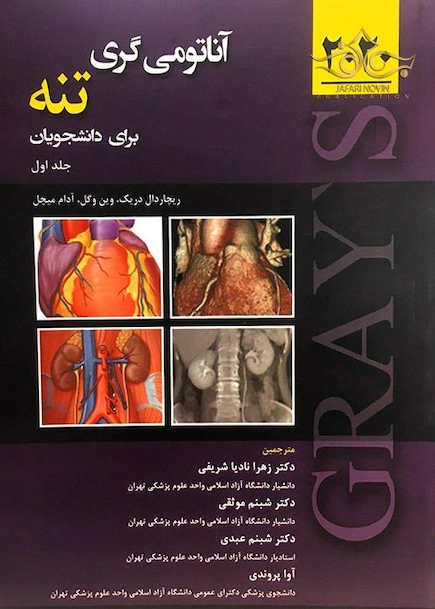 آناتومی گری تنه  2020