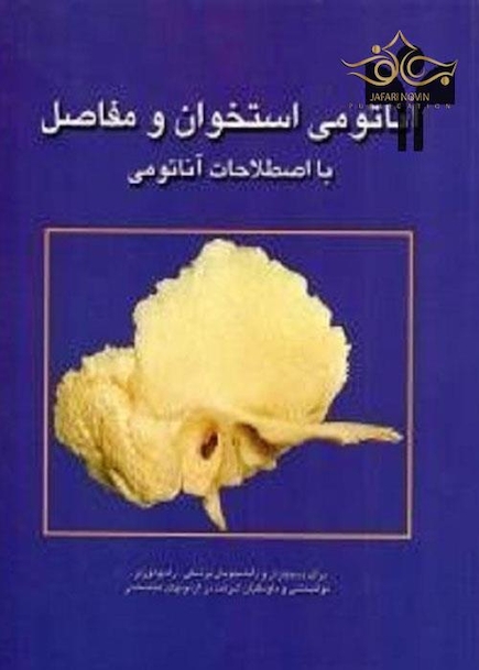 آناتومی استخوان و مفاصل