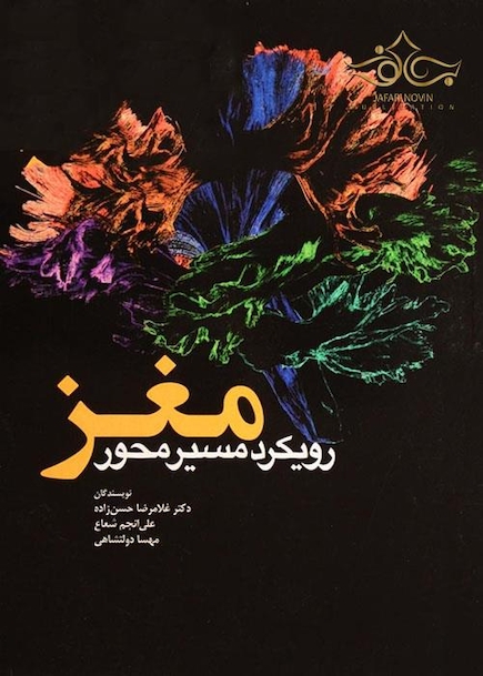 مغز، رویکرد مسیر محور