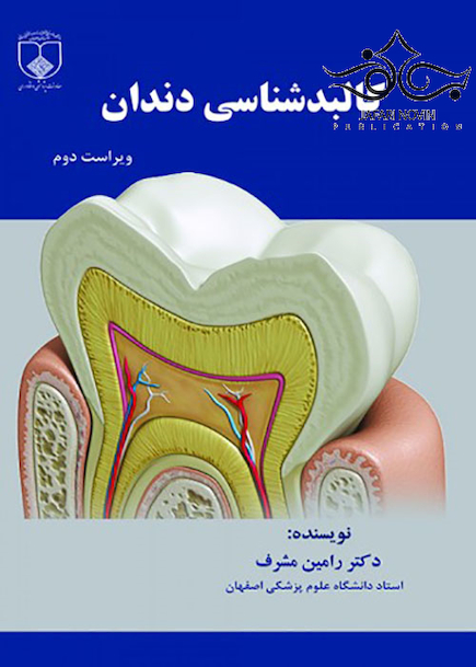 کالبدشناسی دندان