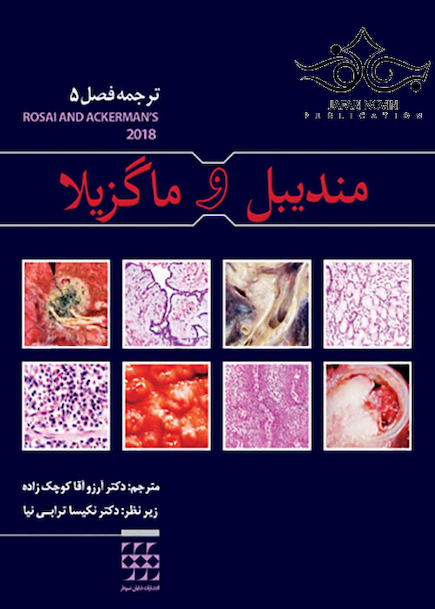 مندیبل و ماگزیلا ترجمه فصل 5 آکرمن 2018