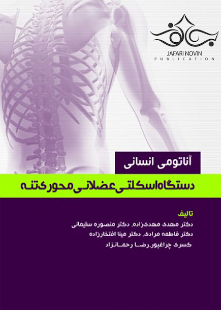 آناتومی انسانی دستگاه اسکلتی عضلانی محوری تنه