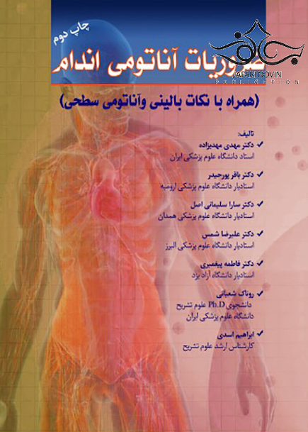ضروریات آناتومی اندام