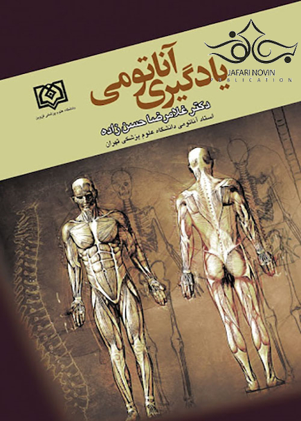 یادگیری آناتومی