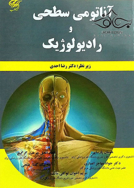 آناتومی سطحی و رادیولوژیک