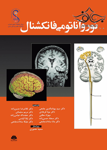 نوروآناتومی فانکشنال