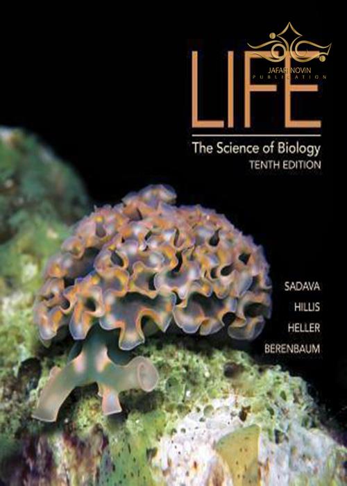 Life : The Science of Biology W-H-Freeman-Co Ltd