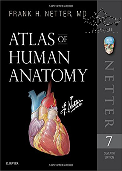 Atlas of Human Anatomy Netter Basic Science 2018 کتاب اطلس آناتومی نتر ابن سینا