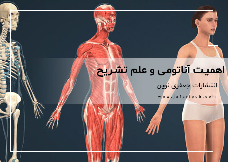 اهمیت آناتومی و علم تشریح