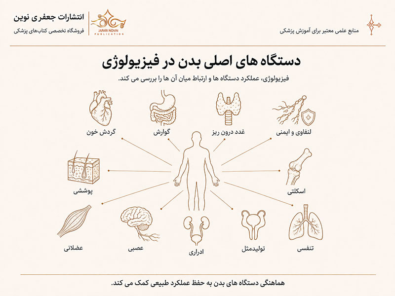 دستگاه‌های اصلی بدن در فیزیولوژی انسان