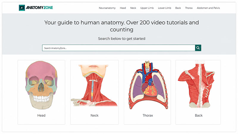 AnatomyZone