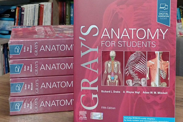 معرفی کتاب آناتومی گری 2024