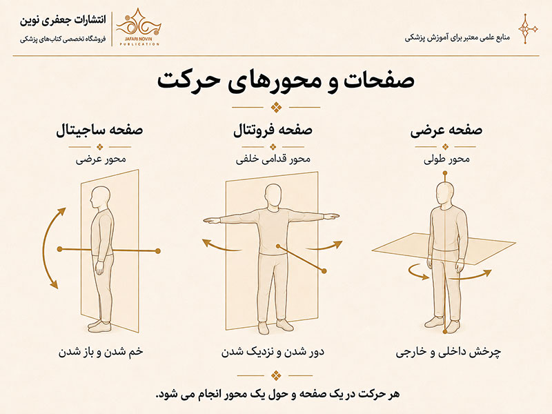 صفحات حرکتی بدن