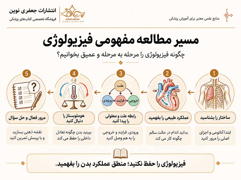 اینفوگرافیک مسیر مطالعه مفهومی فیزیولوژی به صورت مرحله به مرحله