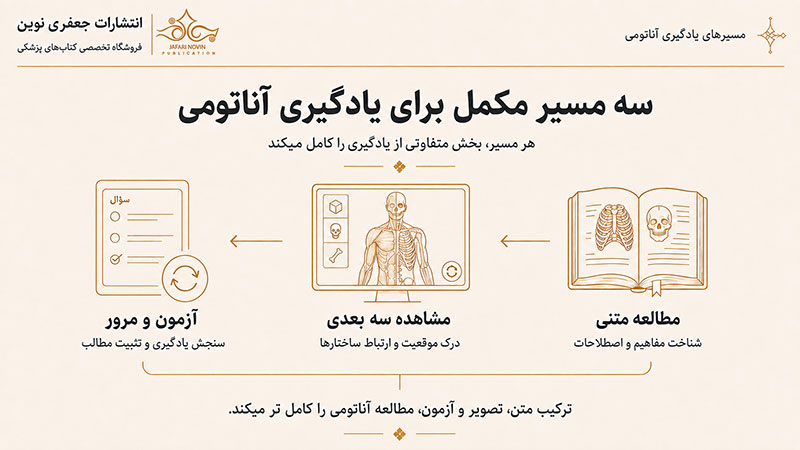 مسیر یادگیری آناتومی