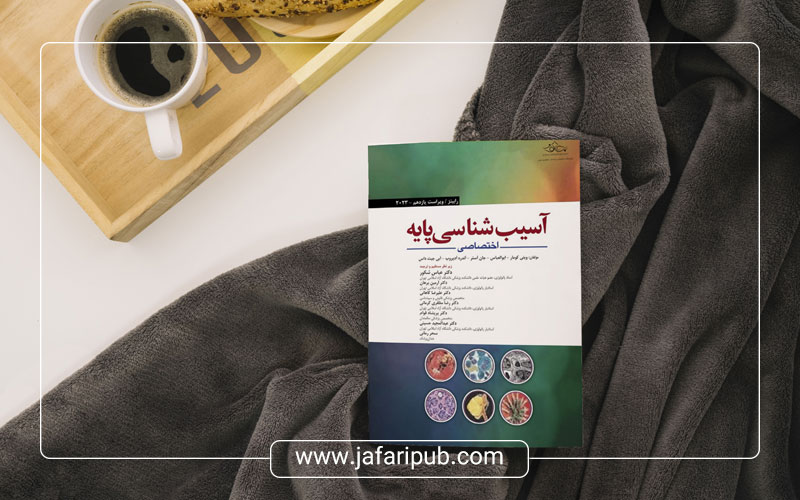 ترجمه دکتر عباس شکور (انتشارات ابن سینا)